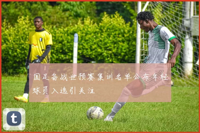 国足备战世预赛集训名单公布年轻球员入选引关注