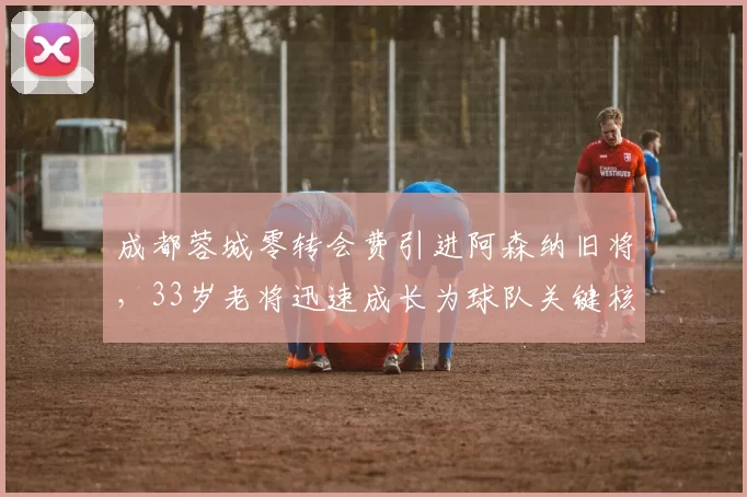 成都蓉城零转会费引进阿森纳旧将，33岁老将迅速成长为球队关键核心_韦林顿·席尔瓦_本赛季