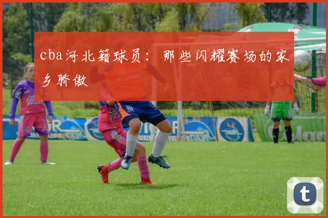 cba河北籍球员:那些闪耀赛场的家乡骄傲