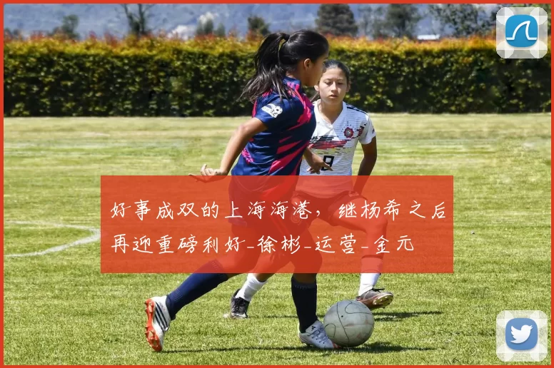 好事成双的上海海港，继杨希之后再迎重磅利好_徐彬_运营_金元