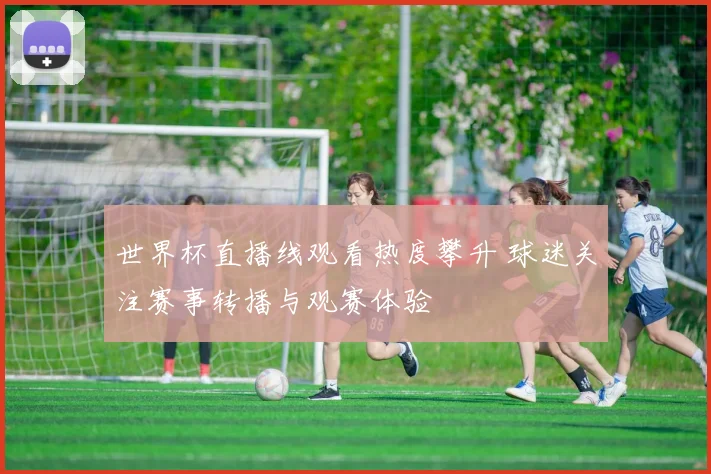 世界杯直播线观看热度攀升 球迷关注赛事转播与观赛体验